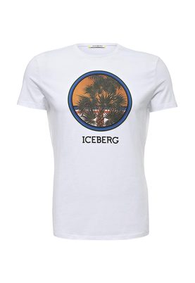 Iceberg 