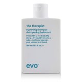 Evo The Therapist